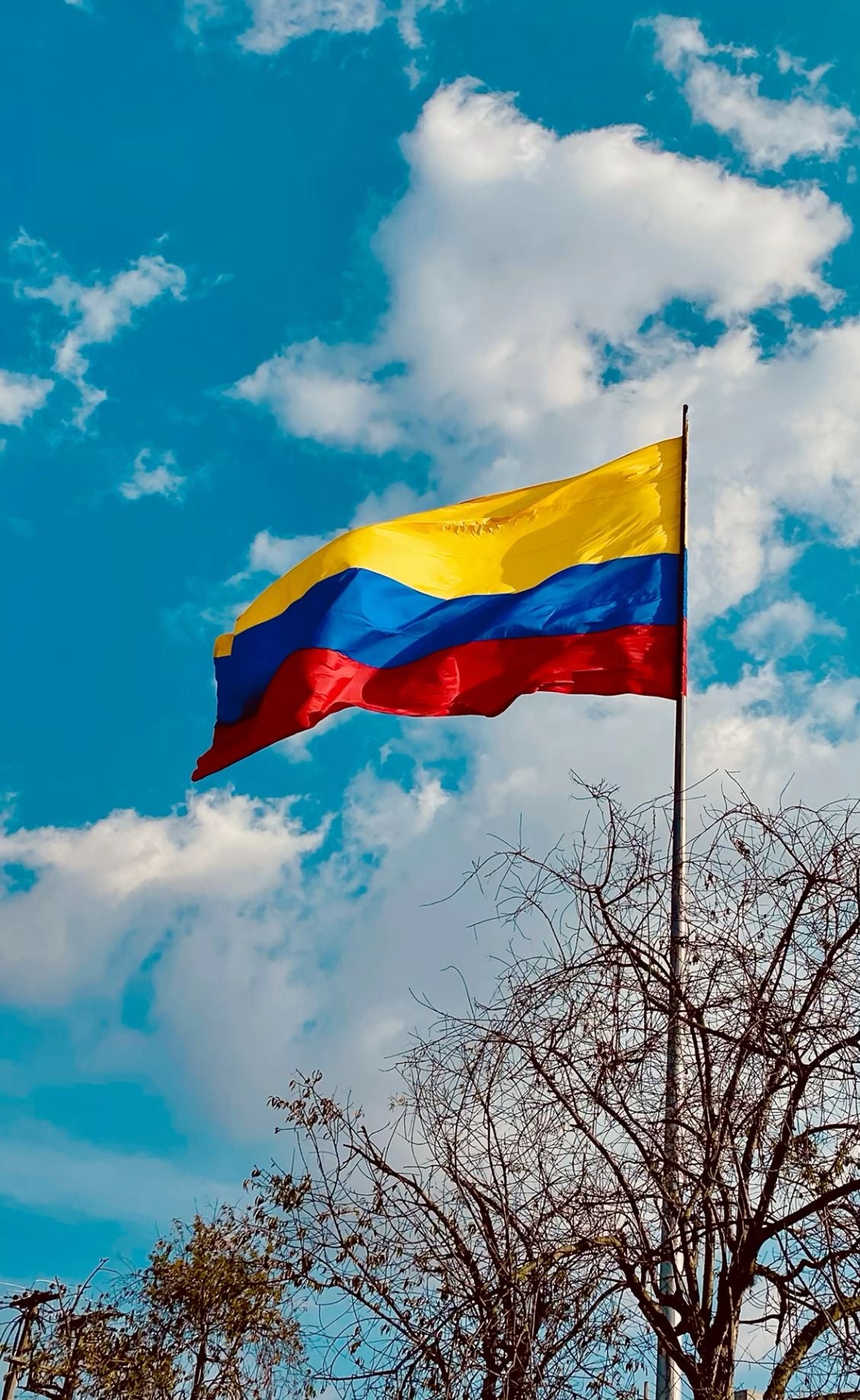 DÍA DE LA INDEPENDENCIA DE COLOMBIA