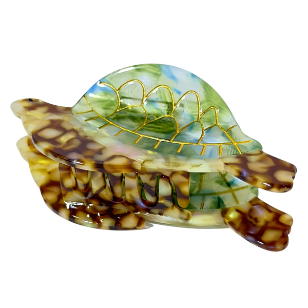 BERNA (TORTUGA)