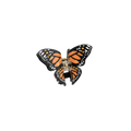 ALOHA (MARIPOSA MONARCA) HAIRCLIP